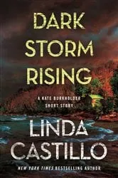 Book cover of Dark Storm Rising by Linda Castillo