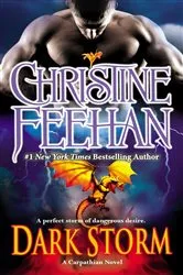 Book cover of Dark Storm by Christine Feehan