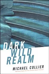 Book cover of Dark Wild Realm by Michael Collier