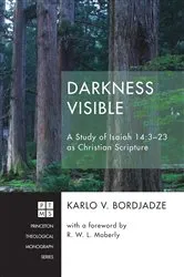 Book cover of Darkness Visible by Charles Eugene Sumners