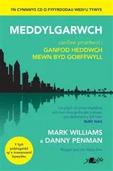 Book cover of Darllen yn Well: Meddylgarwch by Unknown