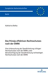 Book cover of Das Prinzip effektiven Rechtsschutzes nach der EMRK by Unknown