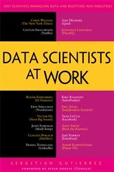 Book cover of Data Scientists at Work by Sebastian Gutierrez