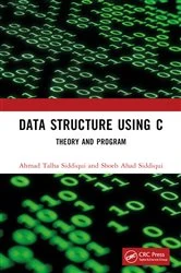 Book cover of Data Structure Using C by Ahmad Talha Siddiqui