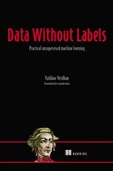 Book cover of Data Without Labels by Vaibhav Verdhan