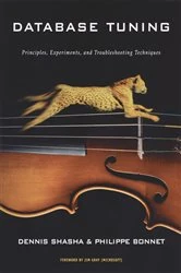 Book cover of Database Tuning by Dennis Shasha