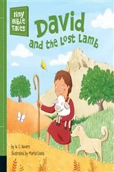 Book cover of David and the Lost Lamb by W. C. Bauers