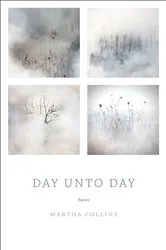 Book cover of Day Unto Day by Martha Collins
