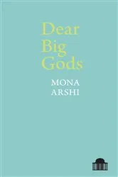 Book cover of Dear Big Gods by Mona Arshi