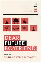 Book cover of Dear Future Boyfriend by Cristin O'Keefe Aptowicz