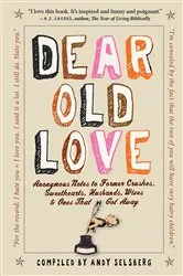 Book cover of Dear Old Love by Andy Selsberg