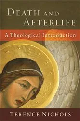 Book cover of Death and Afterlife by Terence Nichols