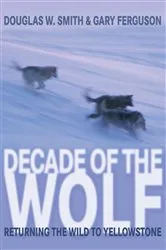 Book cover of Decade of the Wolf by Douglas Smith
