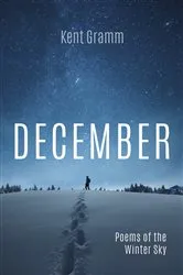 Book cover of December by Elizabeth Hartley Winthrop