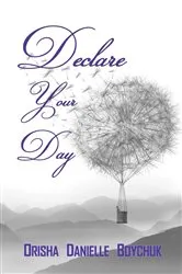 Book cover of Declare Your Day by Boychuk, Orisha , D