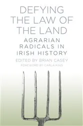 Book cover of Defying the Law of the Land by Brian Casey