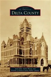 Book cover of Delta County by Judy Falls