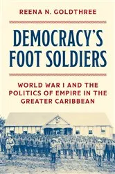 Book cover of Democracy’s Foot Soldiers by Reena N. Goldthree
