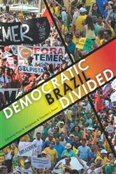 Book cover of Democratic Brazil Divided by Peter Kingstone