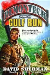 Book cover of Demontech: Gulf Run by David Sherman