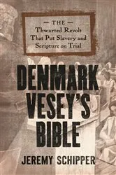 Book cover of Denmark Vesey's Bible by Jeremy Schipper