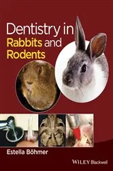 Book cover of Dentistry in Rabbits and Rodents by Estella Böhmer