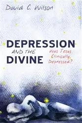 Book cover of Depression and the Divine by David C. Wilson
