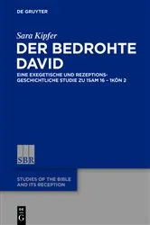 Book cover of Der bedrohte David by Sara Kipfer