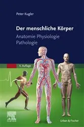 Book cover of Der menschliche Körper (4th ed.) by Peter Kugler