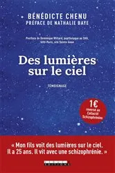 Book cover of Des lumières sur le ciel by Bénédicte Chenu