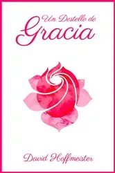 Book cover of Destello de Gracia by David Hoffmeister