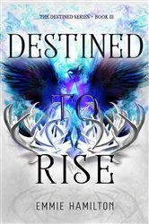 Book cover of Destined to Rise by Emmie Hamilton