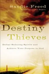 Book cover of Destiny Thieves by Sandie Freed