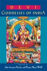 Book cover of Devi by John Stratton Hawley
