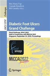Book cover of Diabetic Foot Ulcers Grand Challenge by Moi Hoon Yap