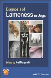 Book cover of Diagnosis of Lameness in Dogs by Kei Hayashi