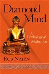 Book cover of Diamond Mind by Rob Nairn