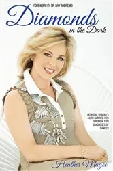 Book cover of Diamonds in the Dark by Magee, Heather,