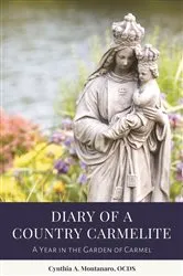Book cover of Diary of a Country Carmelite by Cynthia A. Montanaro
