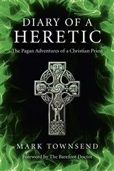 Book cover of Diary of a Heretic by Ross Stein