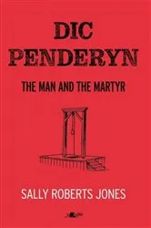 Book cover of Dic Penderyn by Meinir Wyn Edwards