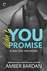 Book cover of Didn't You Promise by Amber Bardan