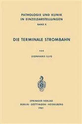Book cover of Die Terminale Strombahn by L. Illig