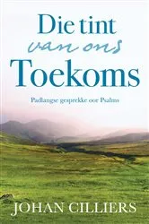 Book cover of Die tint van ons toekoms by Johan Cilliers