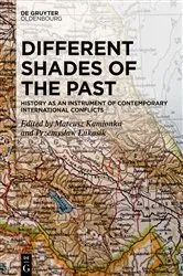 Book cover of Different Shades of the Past by Mateusz Kamionka
