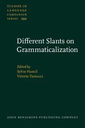 Book cover of Different Slants on Grammaticalization by Sylvie Hancil