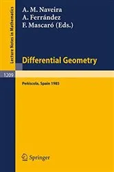 Book cover of Differential Geometry, Peniscola 1985 by Antonio M. Naveira