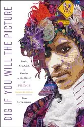 Book cover of Dig If You Will the Picture by Ben Greenman