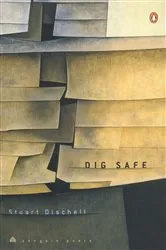 Book cover of Dig Safe by Unknown
