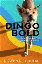 Book cover of Dingo Bold by Rowena Lennox